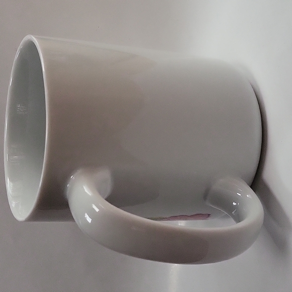 Souvenir Coffee Mug With An Iguana And Ladybug On A Hibiscus Branch - Picture 11 of 12